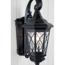 Black Ronan Outdoor Wall Light